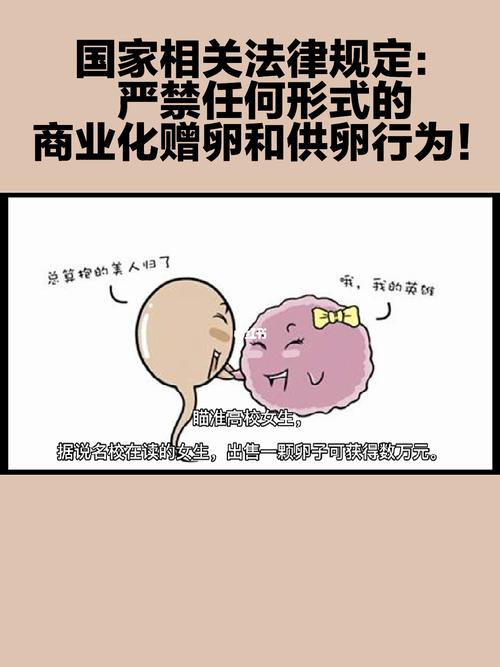 供卵违法吗【供卵违法吗?法律如何规定?】