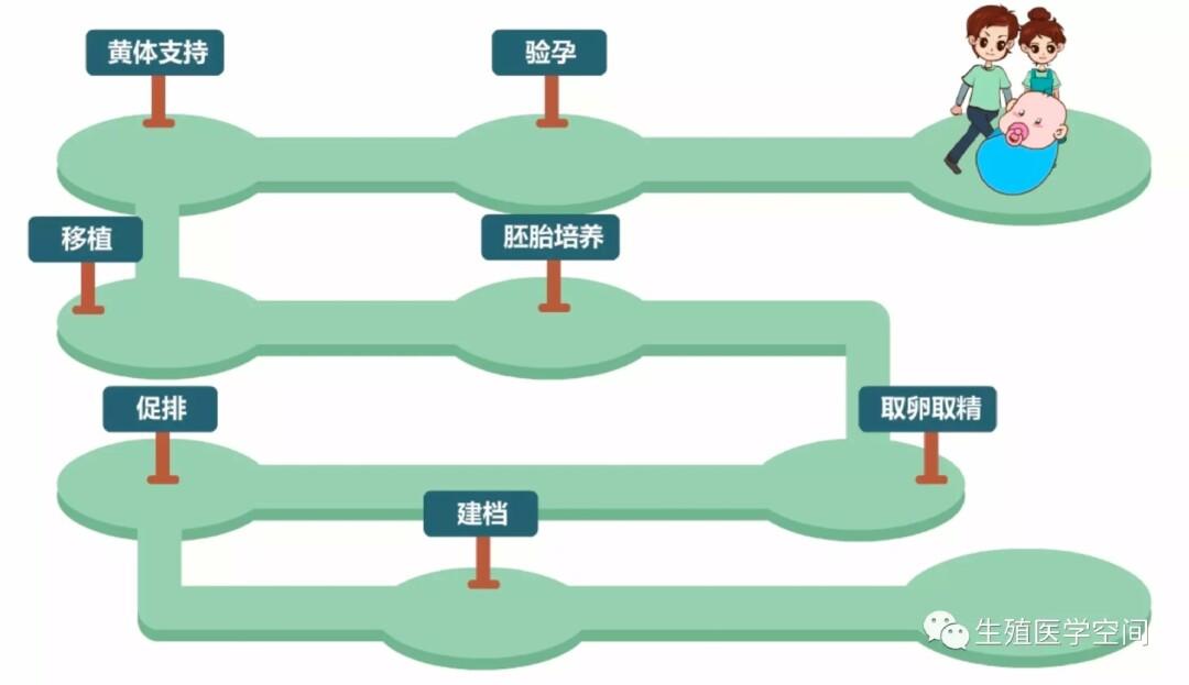 供卵试管需要什么条件-供卵试管：条件是什么？