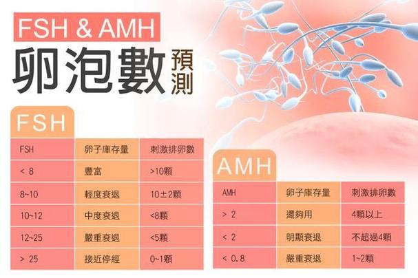 供卵的成功率有多大(供卵成功率有多大?)