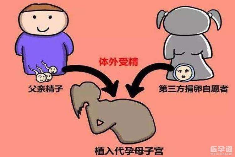 供卵需要具备什么条件(供卵需具备哪些条件?)
