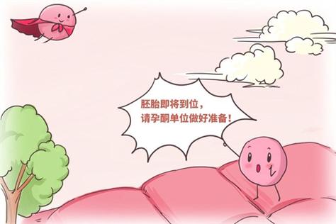 供卵在中国合法吗【中国是否允许供卵合法?】