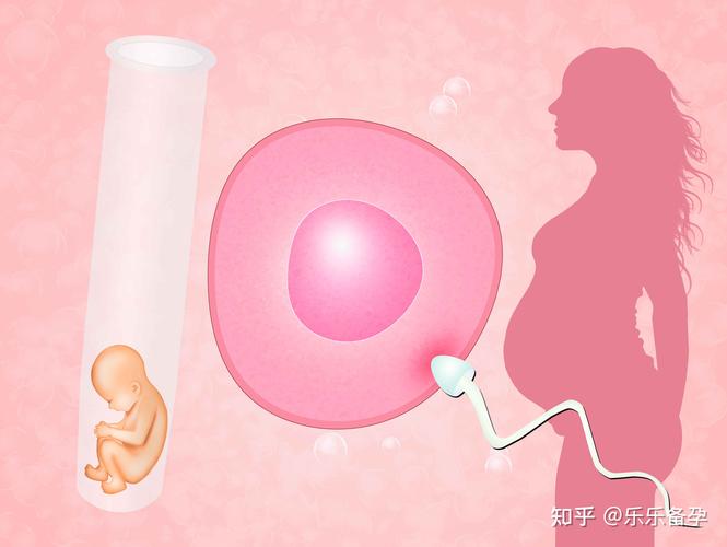 供卵移植成功率_供卵移植成功率:如何提高成功率?