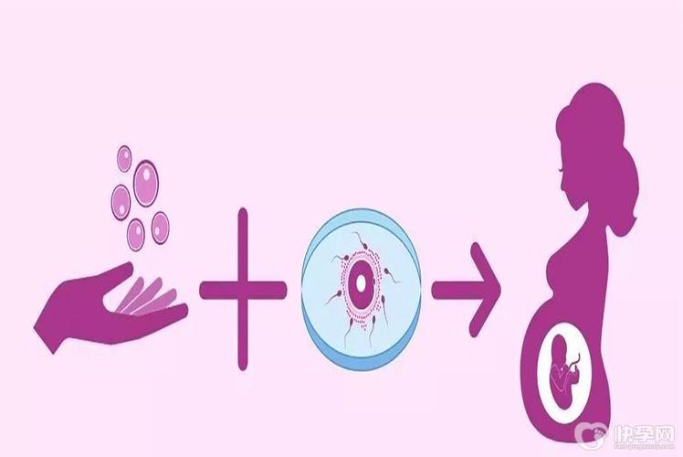 供卵试管婴儿选性别包成功【供卵试管婴儿选性别包成功:实现你梦寐以求的宝宝性别】