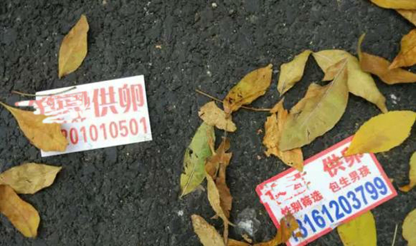 供卵试管被骗【供卵试管被骗:背后的真相】