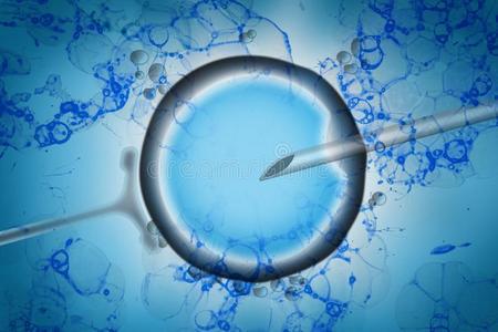 供卵辅助生殖_供卵辅助生殖:科学技术助力实现生育梦想”